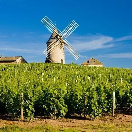 Дом отдыха Le Clos Des Vignes