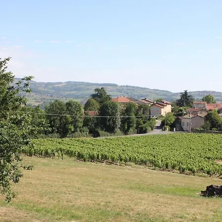 Le Clos Des Vignes