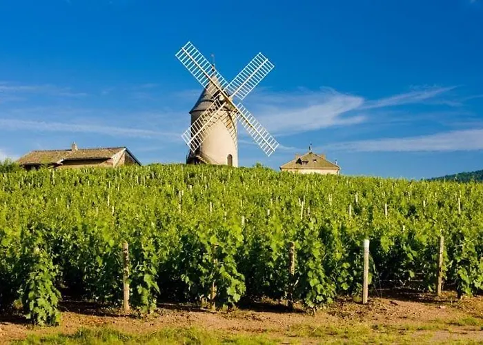 Casa vacanze Le Clos Des Vignes