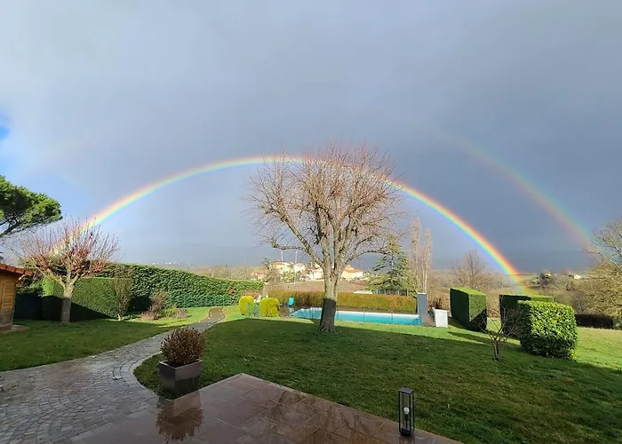 Le Clos Des Vignes *