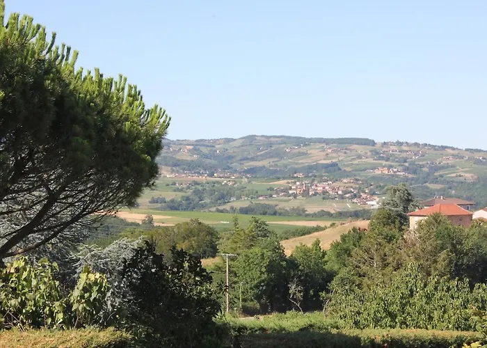 Le Clos Des Vignes * Sarcey