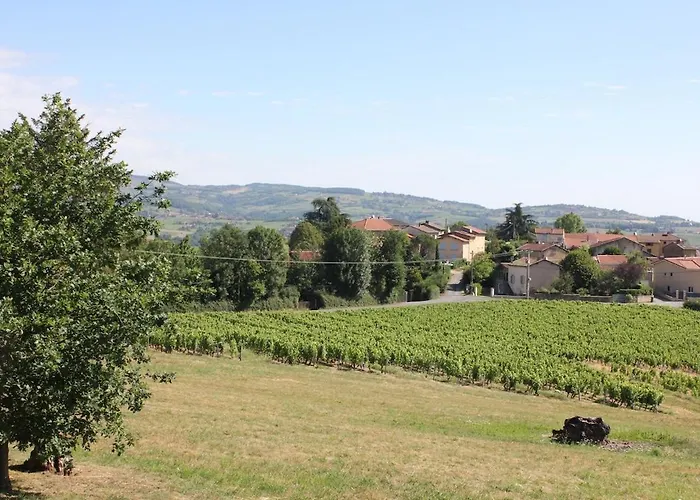 Le Clos Des Vignes